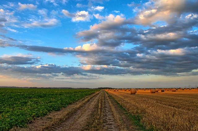 aziende agricole - monitoraitalia