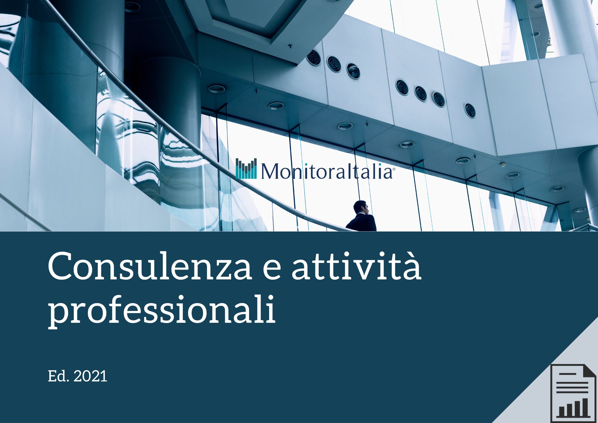 consulenza e attività professionali